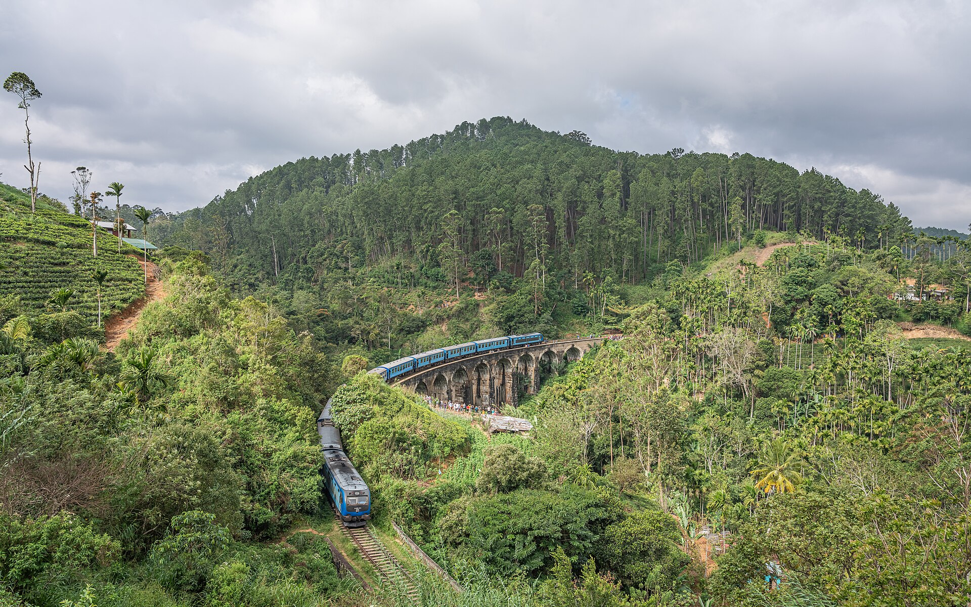 Hill Country Journey