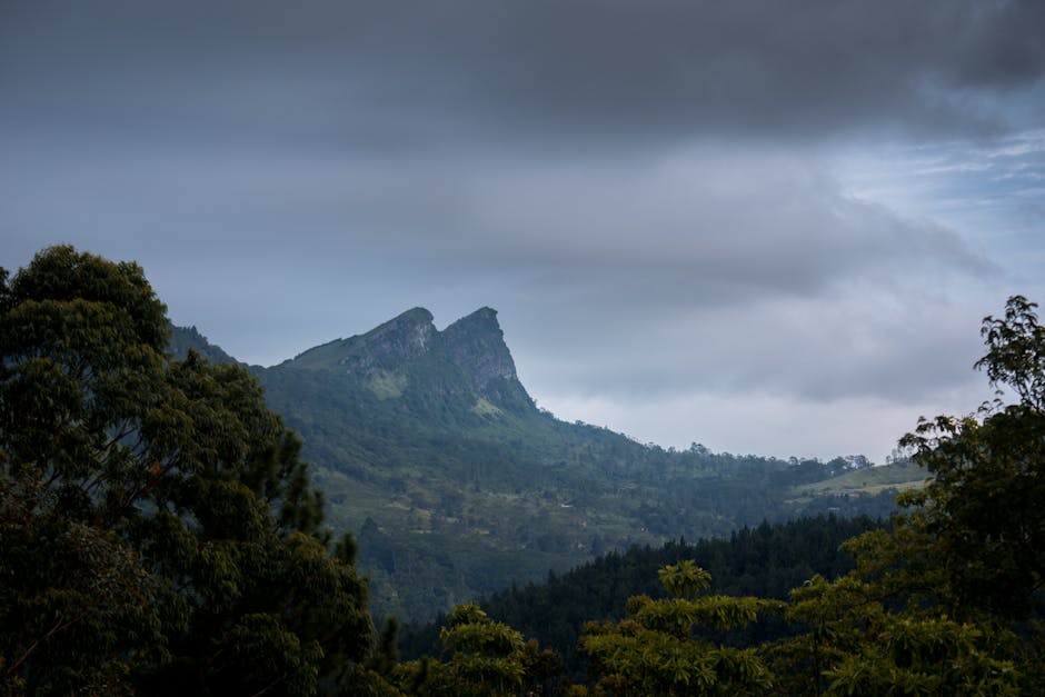 Adam's Peak