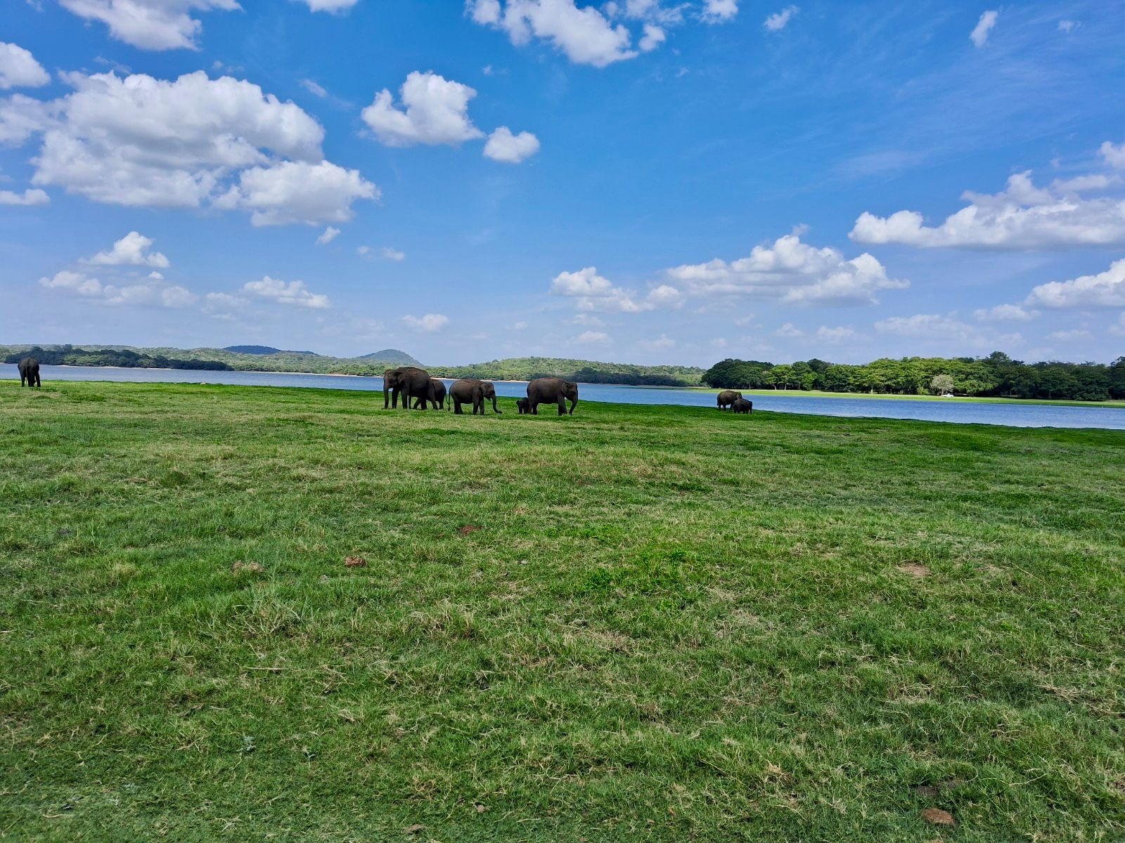 Sri Lanka Landscape
