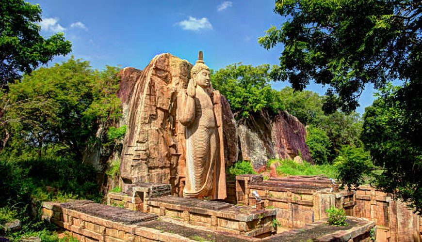 Day 11: Anuradhapura - Wilpattu National Park - Colombo